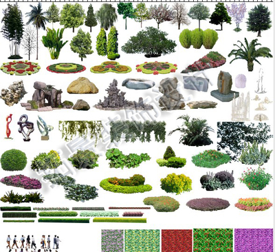 园林景观设计PSD树木花草植物人物水体鸟瞰效果图室内平面ps素材